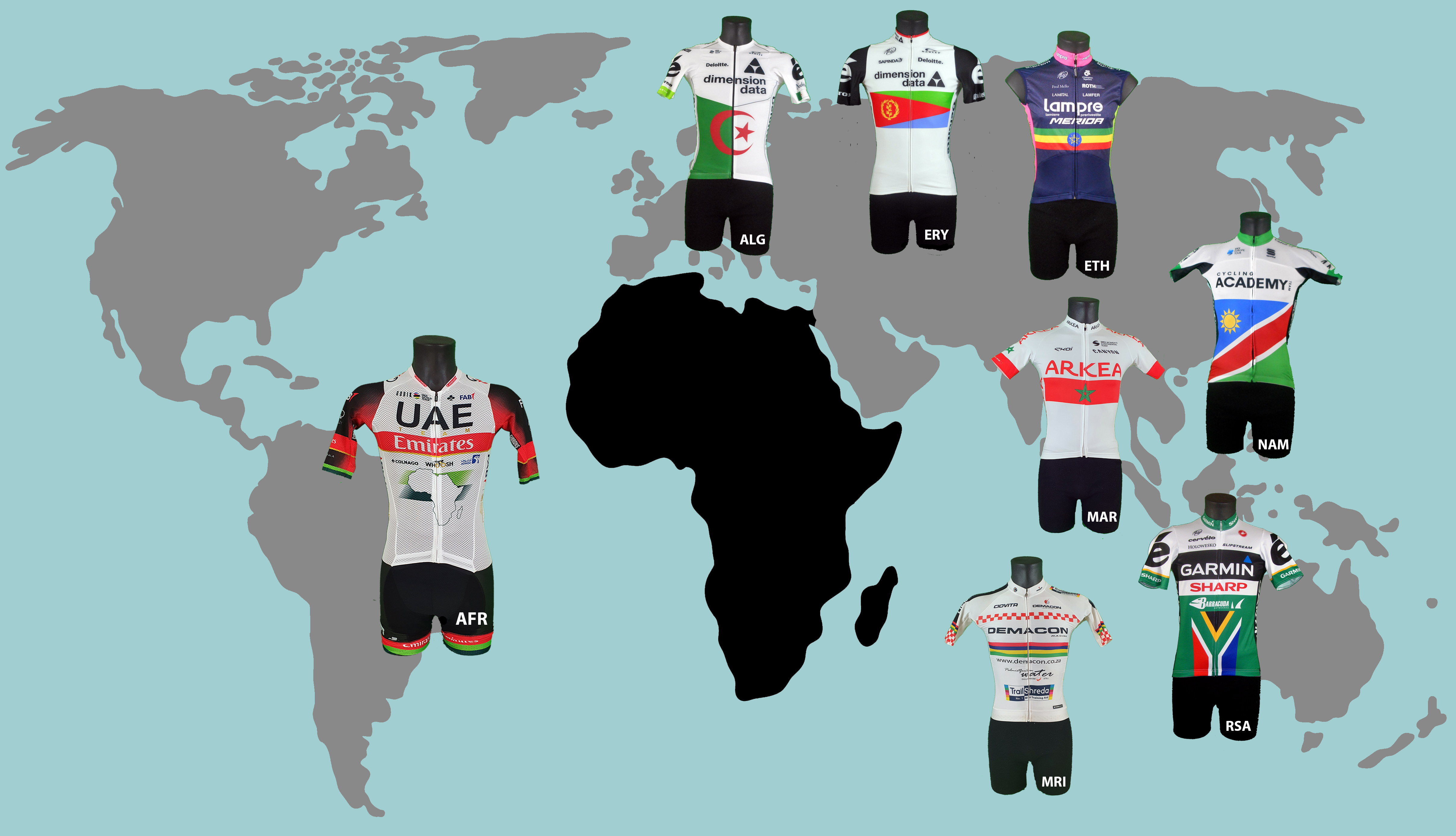 Les champions nationaux du continent Africain